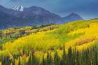 USA-Alaska-Chugach National Forest Mountain and aspens in autumn Art Print